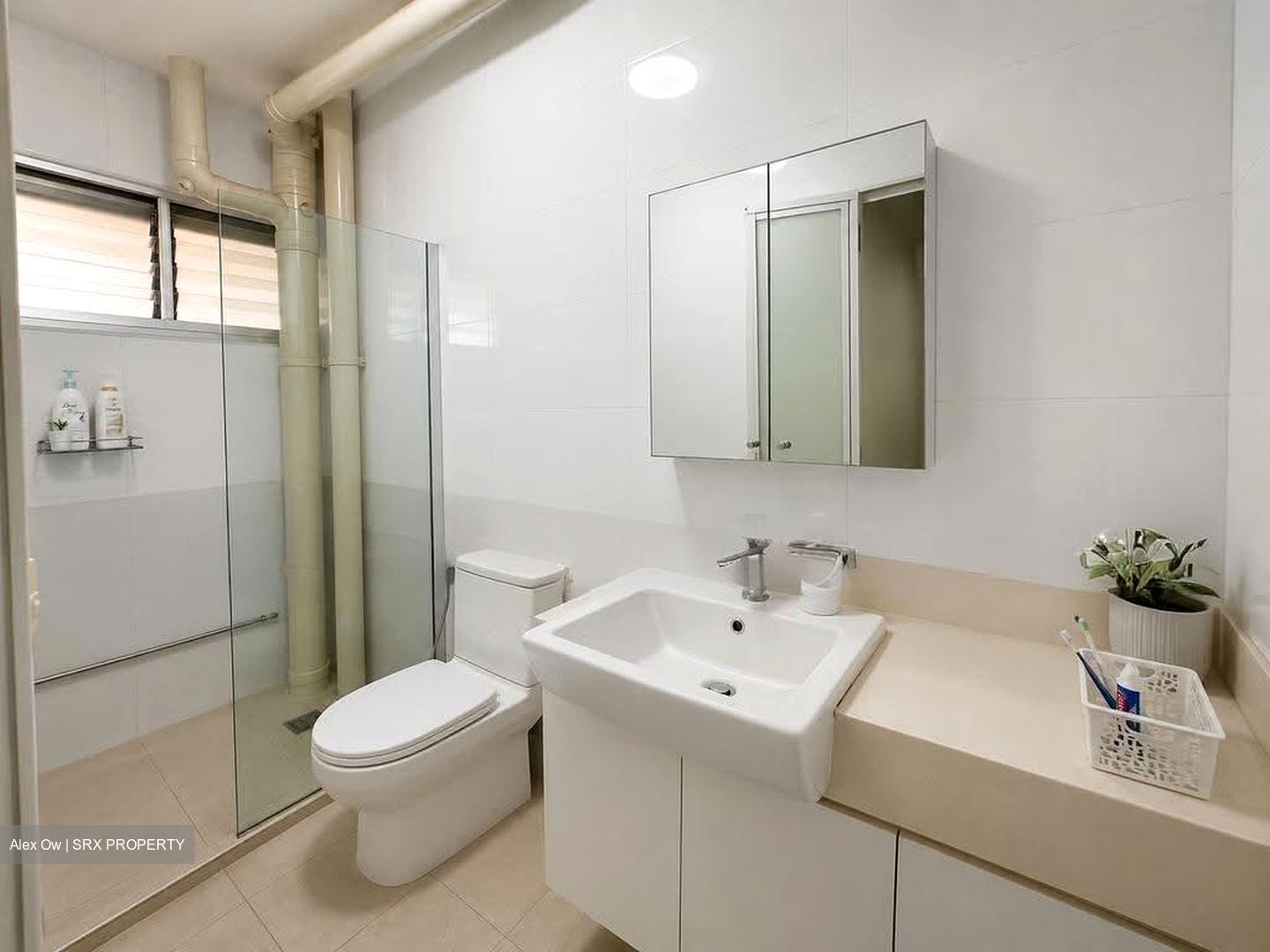 Blk 219 Bishan Street 23 (Bishan), HDB Executive #612376741